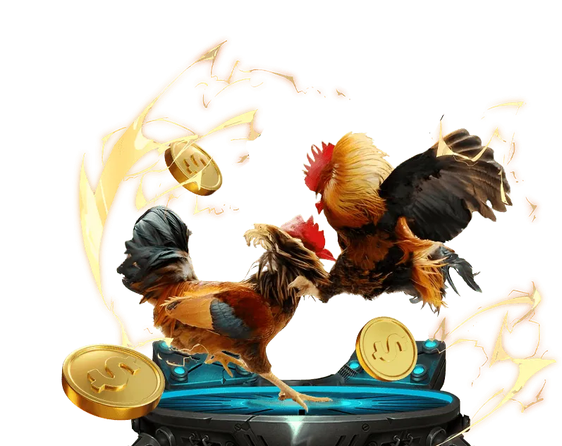 Cá cược bóng rổ pkbet win